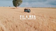 El Nino feat. What's Up - Fii a mea
